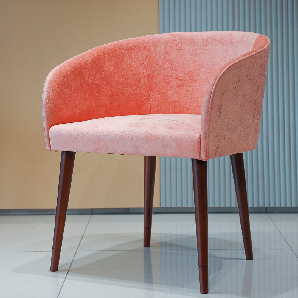 Accent Chair- Visitor/Bedroom Chair